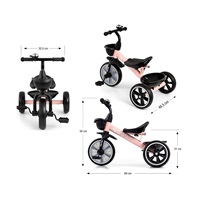 Baby Bike tricycle Milly Mally Bobby Pink