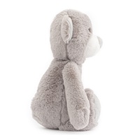 Plush Toy – Teddy Bear

 Baby Mix 20cm