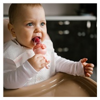 Baby Ono FROG Feeding Teether Pink