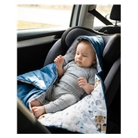 Insulated swaddle blanket for a car seat New Baby blue