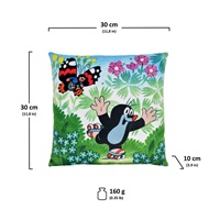 Children‘s pillow Little Mole 30x30 cm skater