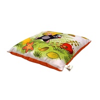 Children‘s pillow Little Mole 30x30 cm pear