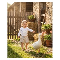 Baby bodysuit with print New Baby Goose - short sleeve