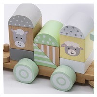 Wooden Train with Blocks Baby Mix