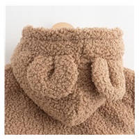 Baby Winter Hoodie New Baby Teddy Winter