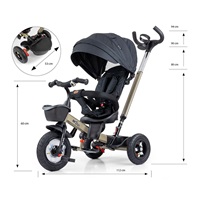 Children‘s tricycle Milly Mally Movi gold (damaged packaging)