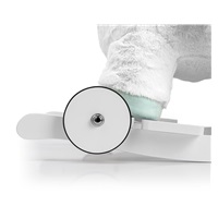 Rocking horse with melody and wheels Milly Mally Polly Unicorn