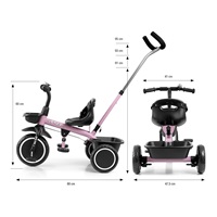 Milly Mally Axel tricycle pink
