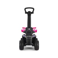 Milly Mally ride-on car Wild 3in1 pink