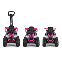 Milly Mally ride-on car Wild 3in1 pink