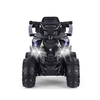 Milly Mally ride-on car Wild 3in1 black