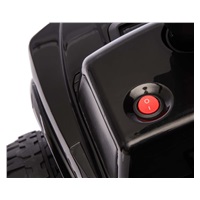 Ford F-150 Raptor Milly Mally Electric Ride-On Car black