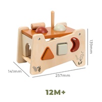 Wooden Hammering Toy with Xylophone Baby Mix