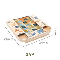 Wooden 3D Tetris Puzzle Baby Mix