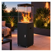 Anthracite Gas Patio Heater