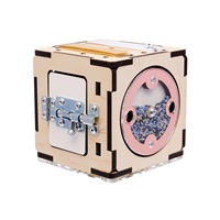 Wooden Montessori Activity Cube