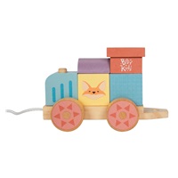 Wooden Train with 25 Colourful Building Blocks
