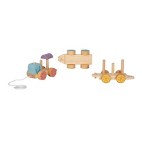 Wooden Train with 25 Colourful Building Blocks