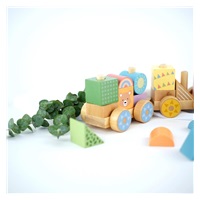 Wooden Train with 25 Colourful Building Blocks